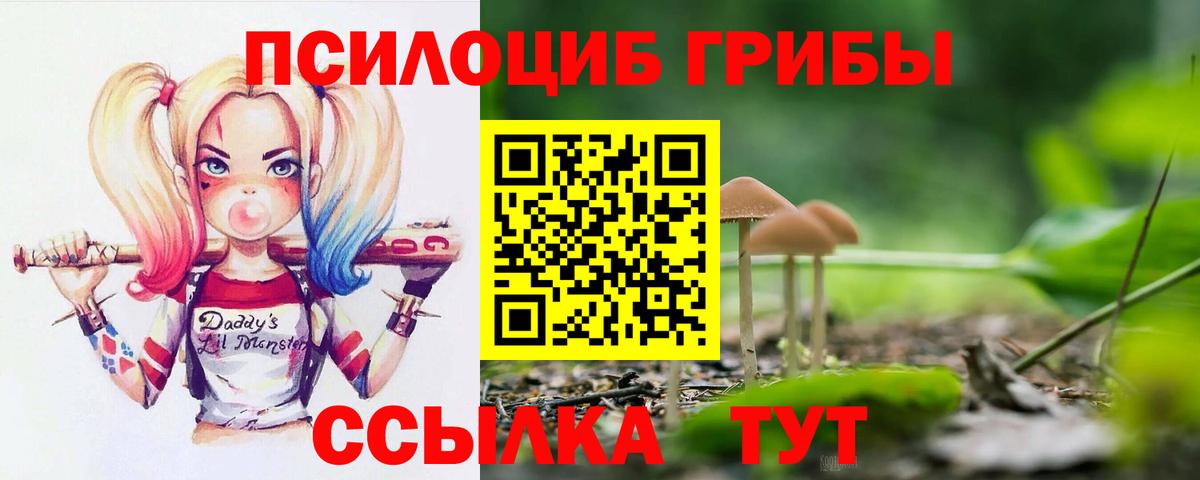 Псилоцибиновые грибы GOLDEN TEACHER  Вход с VPN  Клин 